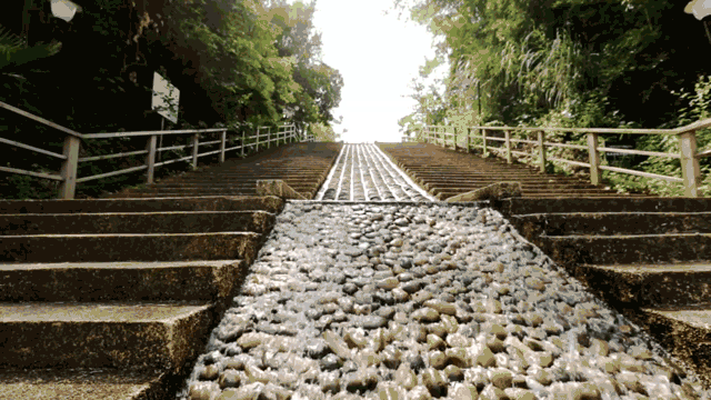 時(shí)光島,一間讓“時(shí)光倒流”300畝獨(dú)島民宿