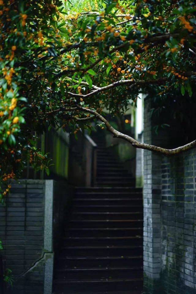 杭州·棲遲，還是那個獨一無二的黑白灰