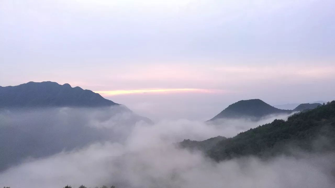 麗水·云逸遠山，在牡丹亭有個仲夏夜之夢