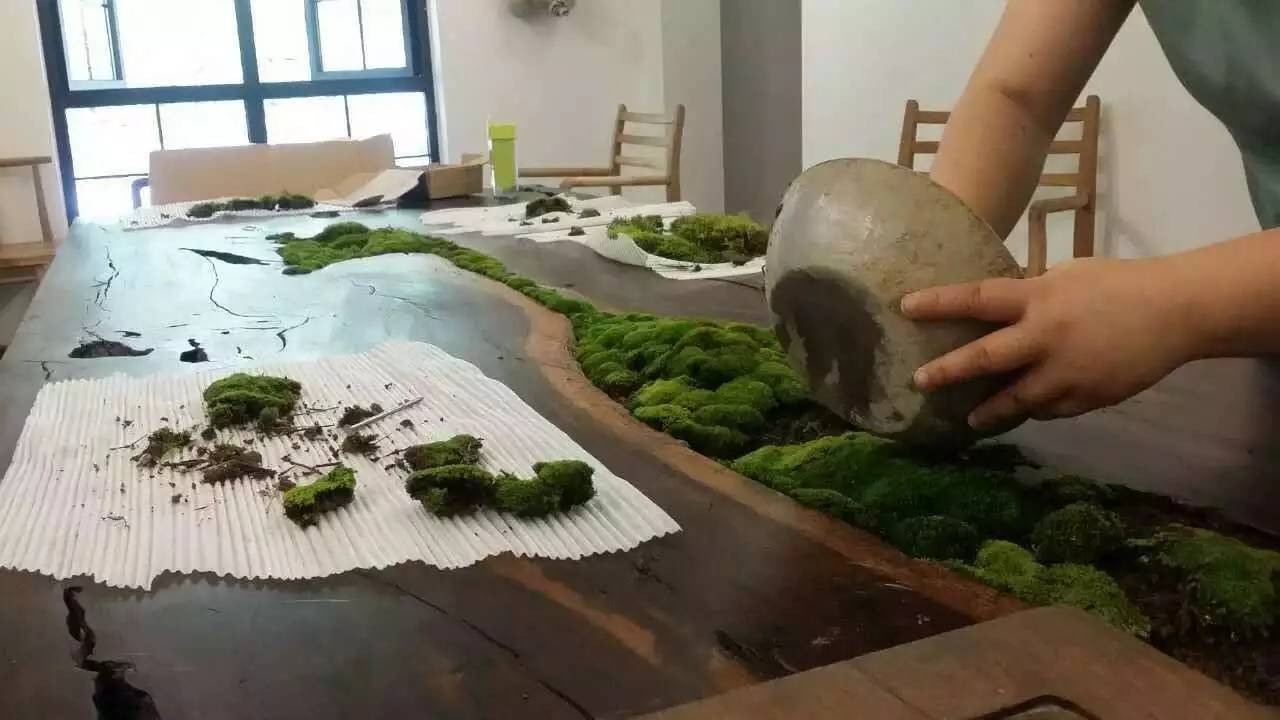 雪坑村·美客愛(ài)途，愛(ài)上美麗的客居地和旅途故事