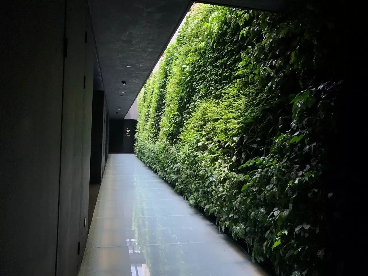杭州·駐Hotel,在杭州最美季節體驗藝術空間