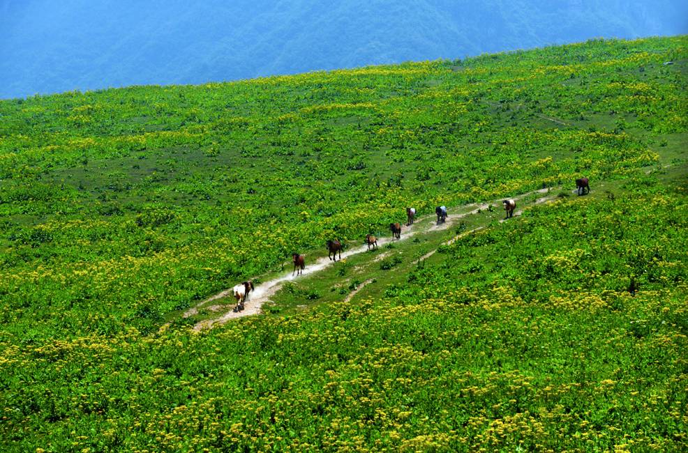 皇木鎮·壹間房，住進云霧間愛上一座城