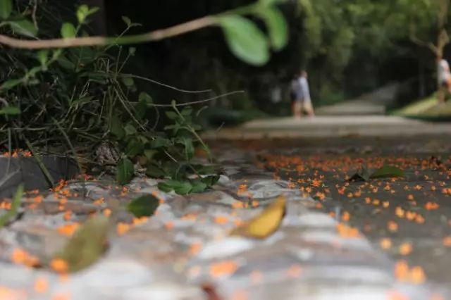 秋意正濃，與8家最美民宿一起相約杭州