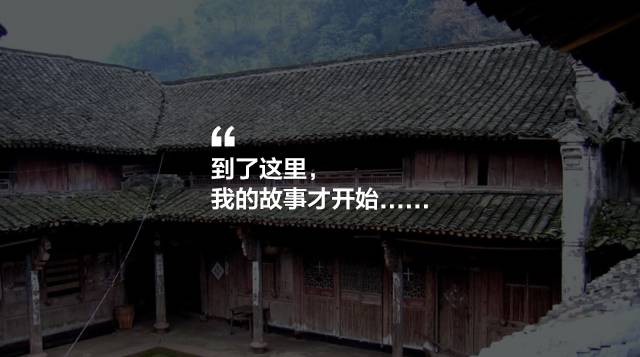 寧波·花雨醉，品花間一壺酒聽雨后醉朦朧