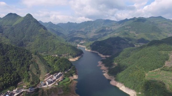 麗水·浮光，浮光指路茶香入夢(mèng)蓋一間湖畔大學(xué)