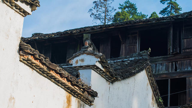 麗水·浮光，浮光指路茶香入夢(mèng)蓋一間湖畔大學(xué)