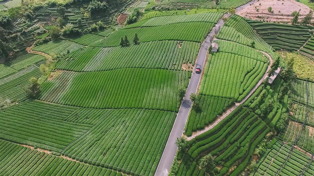 麗水·浮光，浮光指路茶香入夢(mèng)蓋一間湖畔大學(xué)
