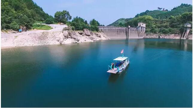 松陽·陌領浮光民宿，浮光指路茶香入夢