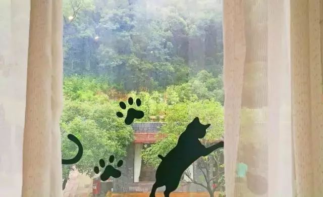 杭州·一色山墅，滿覺隴的月色喝茶散步都是雅事