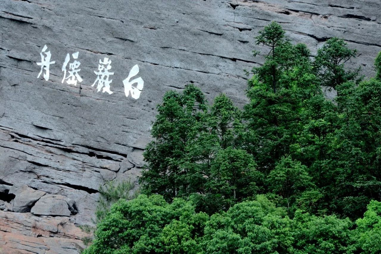武夷山·山玖如意莊，一杯清茶一萬個品茶人