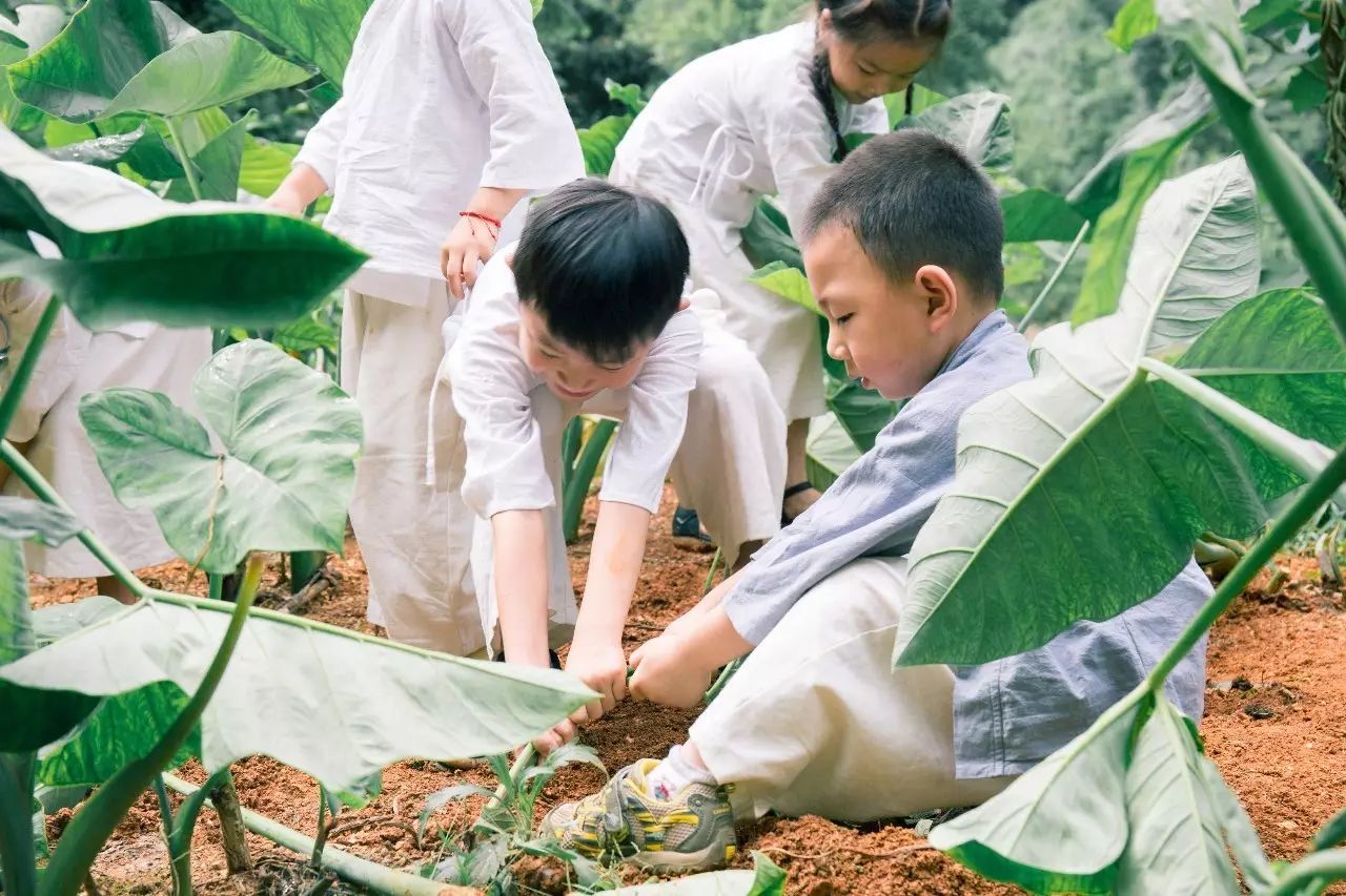 壩美·歸園,隱居聽心歸于自然盡享鄉(xiāng)村野趣