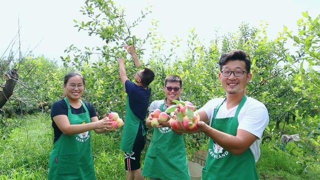煙臺(tái)·極客客棧，歡迎每一顆想要逃離的心