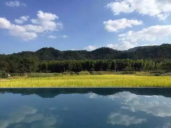 3間開在稻田里的民宿，回歸自然向往田園風光