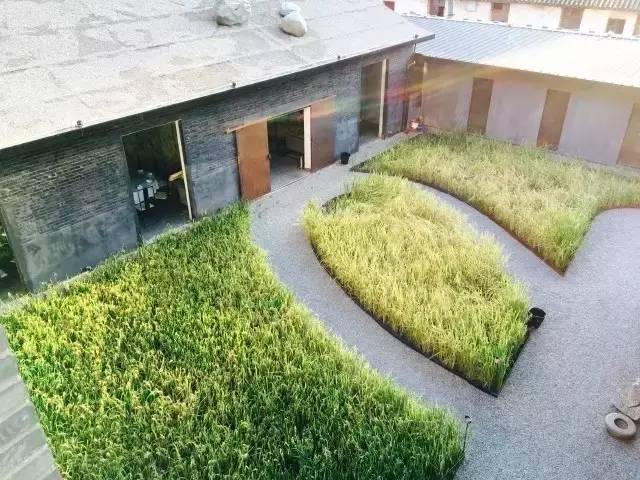 3間開在稻田里的民宿，回歸自然向往田園風光