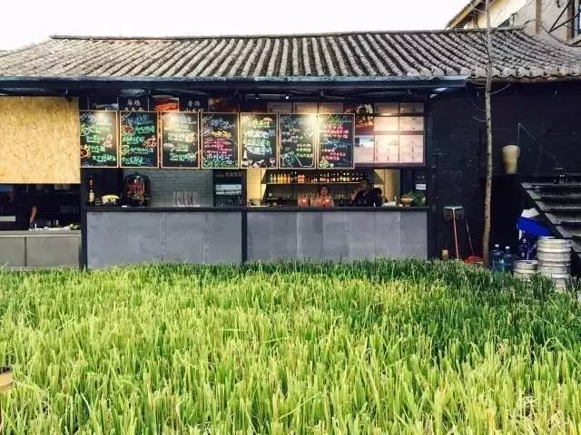 3間開在稻田里的民宿，回歸自然向往田園風光