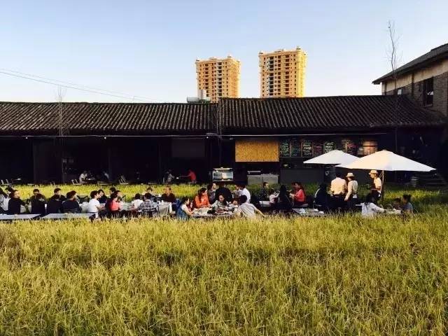 3間開在稻田里的民宿，回歸自然向往田園風光