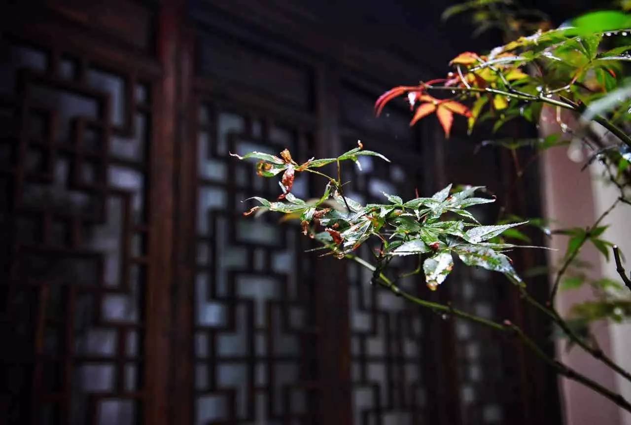 塘棲古鎮小茶姑娘，古鎮溪邊沐浴清風滌蕩心靈