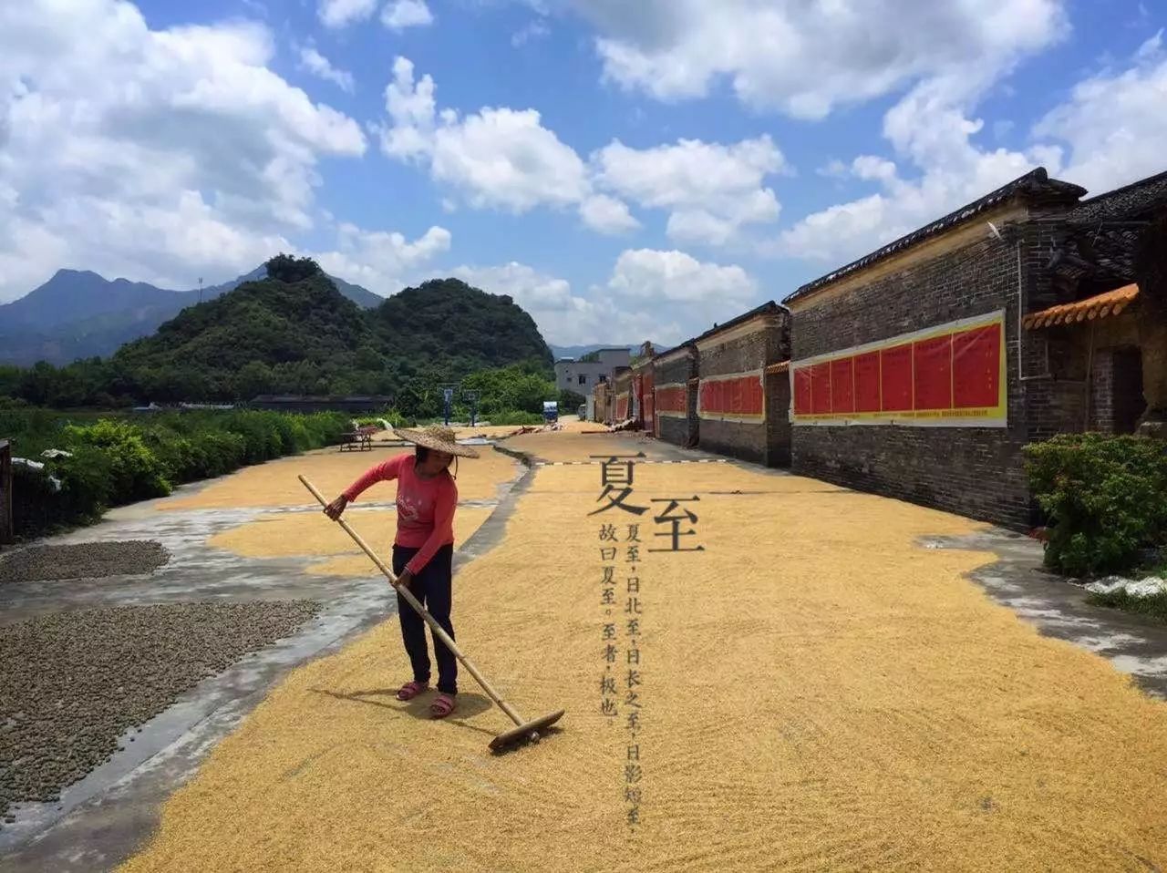 桃花壹號(hào)，靜下來(lái)品味生活最美的那一面