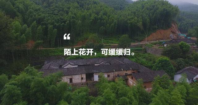 陌上·花溪堂，陌上花開笑顏傾城