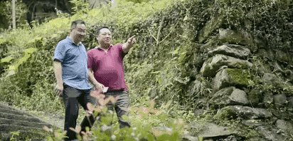 陌上·花溪堂，陌上花開笑顏傾城