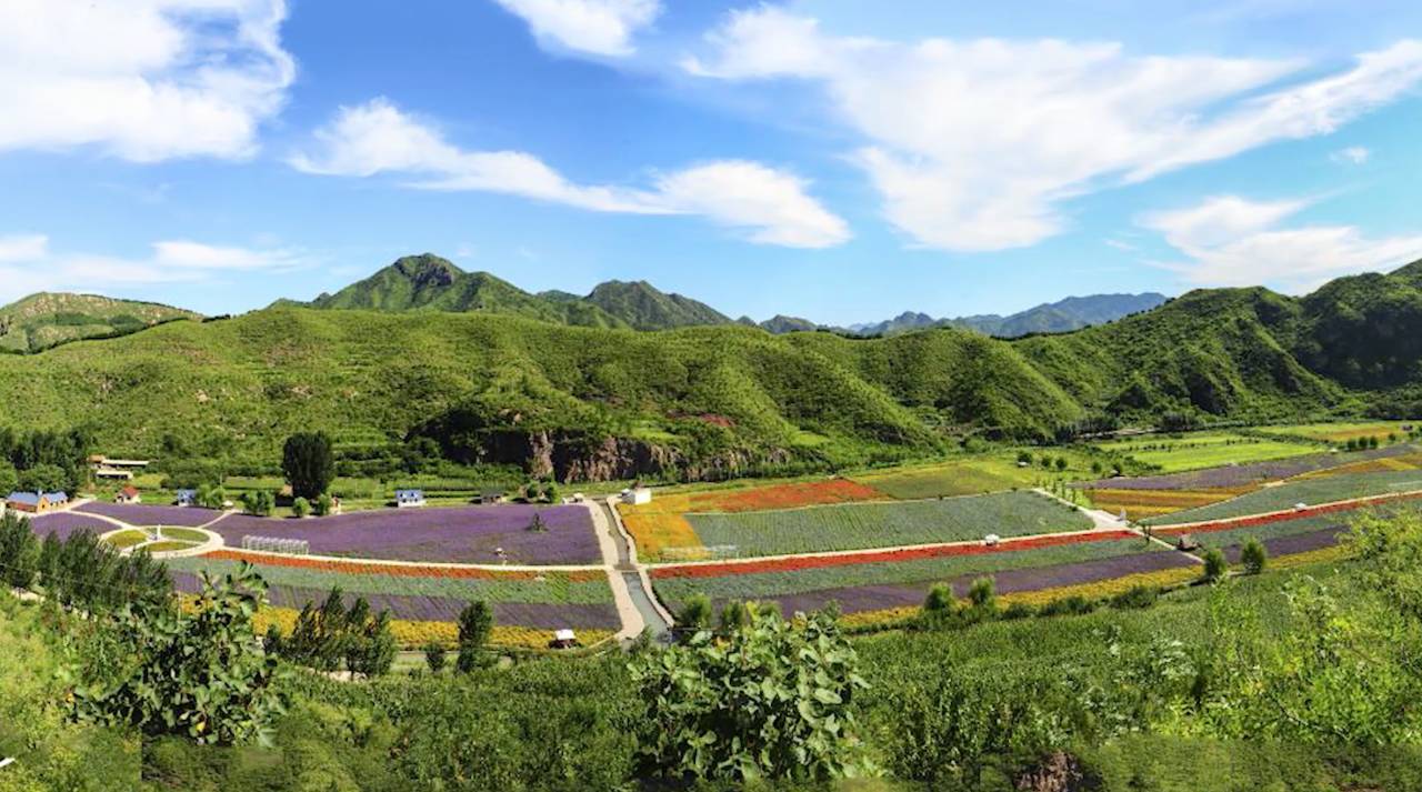 陌上·花溪堂，陌上花開笑顏傾城