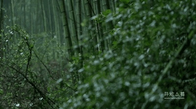 湖州嶺霧，在云霧之巔把自然搬進屋內