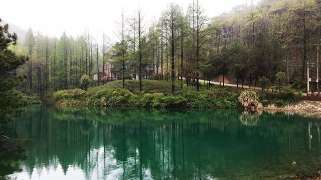 湖州嶺霧，在云霧之巔把自然搬進屋內