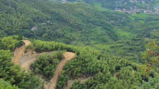 珀洱半坡，在竹海樹(shù)林之間盡享山間好風(fēng)光