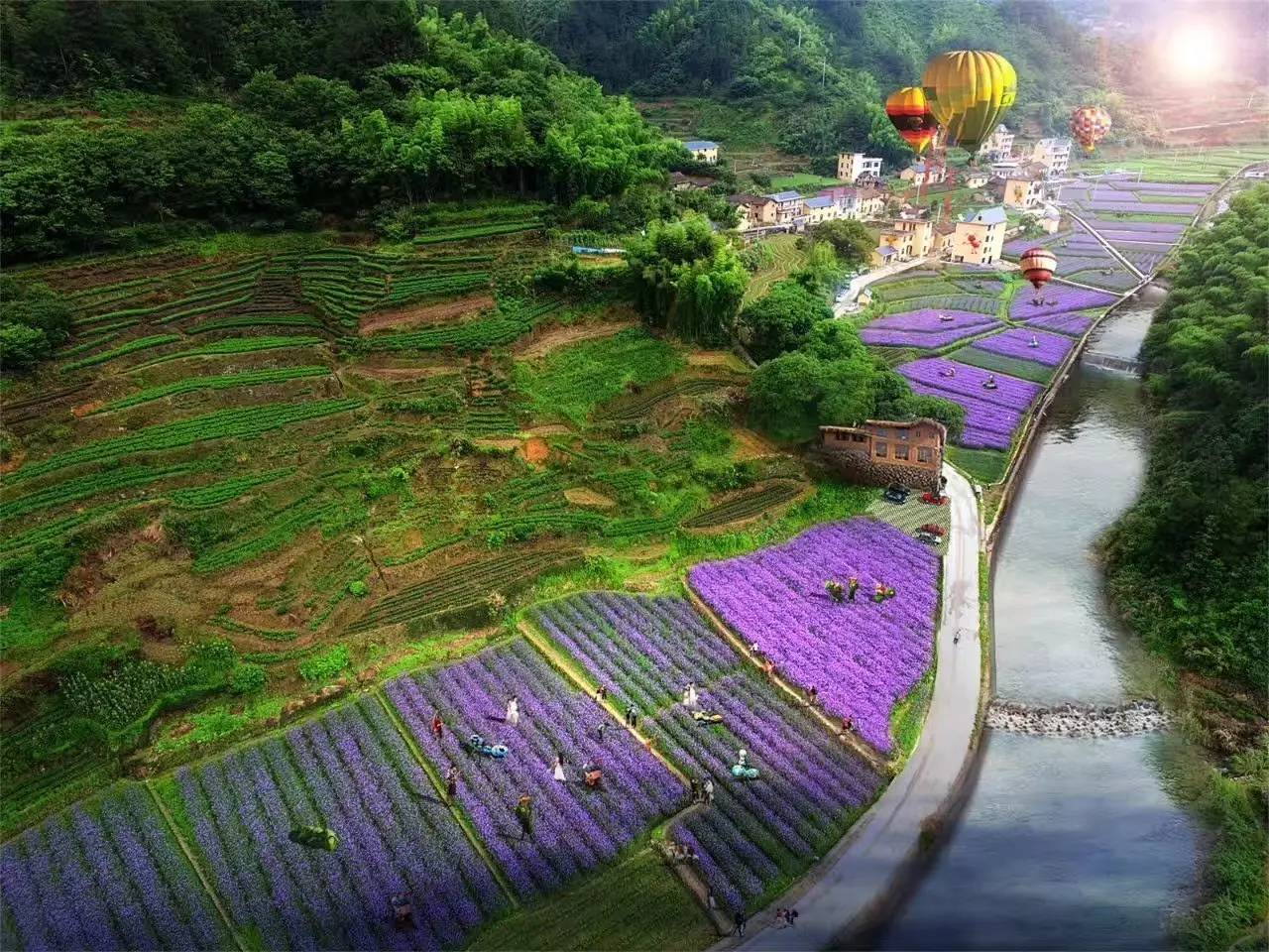 螞蟻尚墅，在山谷的花田美舍里生活