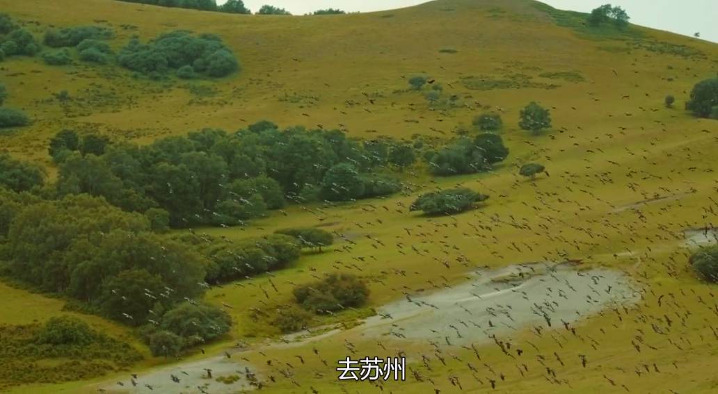 云棲·陌舍，在蘇州享受閑散古樸的生活氣息