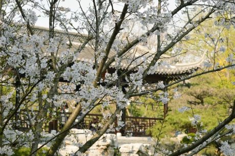 瓜洲云裳山村，春風(fēng)又綠江岸春