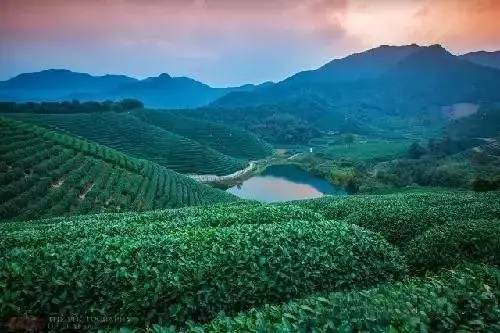 瓜洲云裳山村，春風又綠江岸春