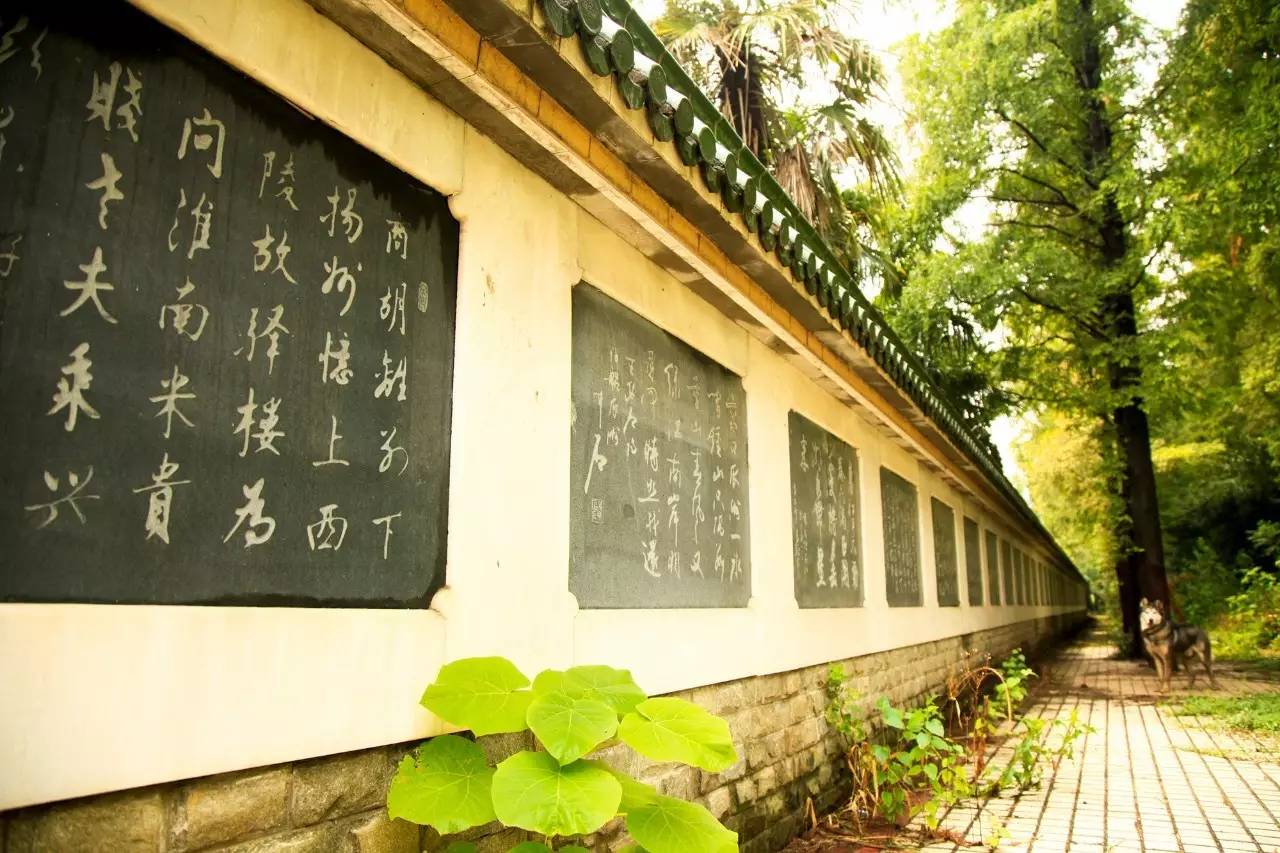 瓜洲云裳山村，春風又綠江岸春