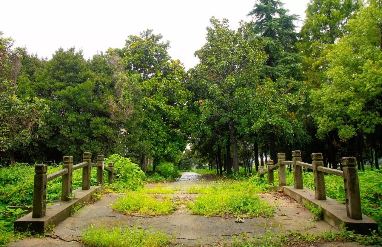 瓜洲云裳山村，春風又綠江岸春