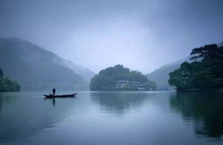 梧桐小筑，一幅靜靜舒展的水墨畫卷