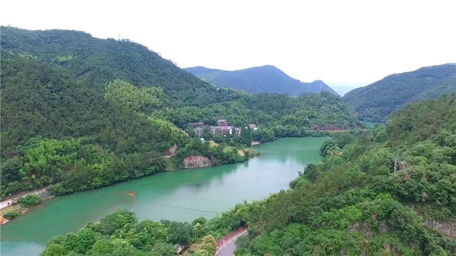 梧桐小筑，一幅靜靜舒展的水墨畫卷