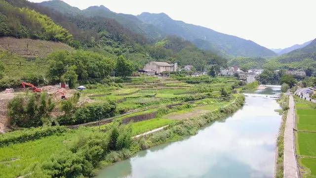 梧桐小筑，一幅靜靜舒展的水墨畫(huà)卷