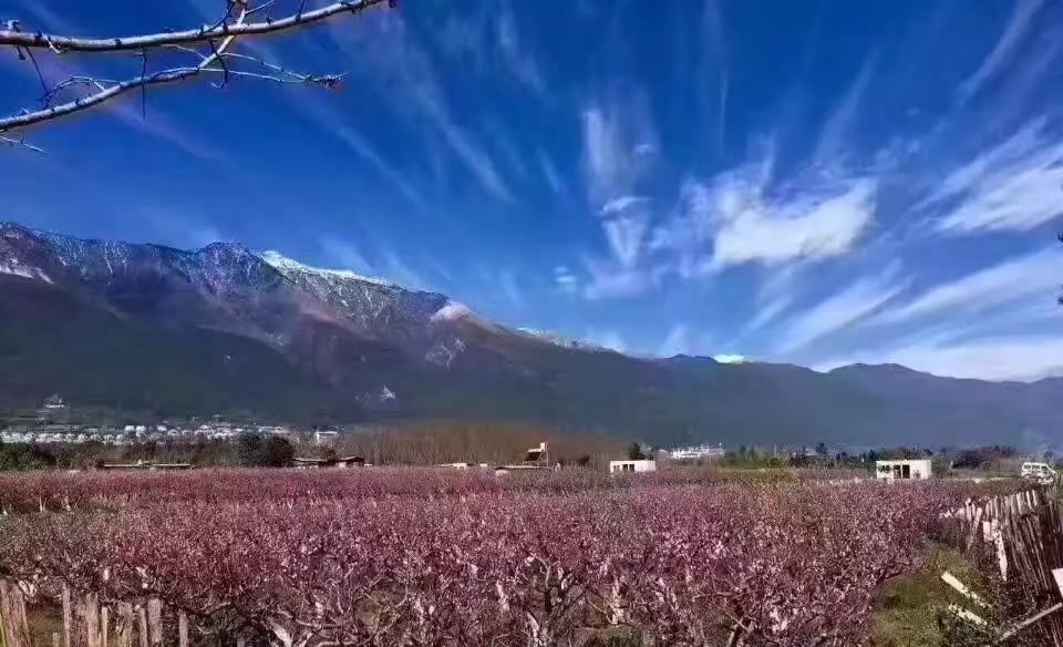 麗江束河聚寶齋民宿，告別曾經邂逅未來的美麗