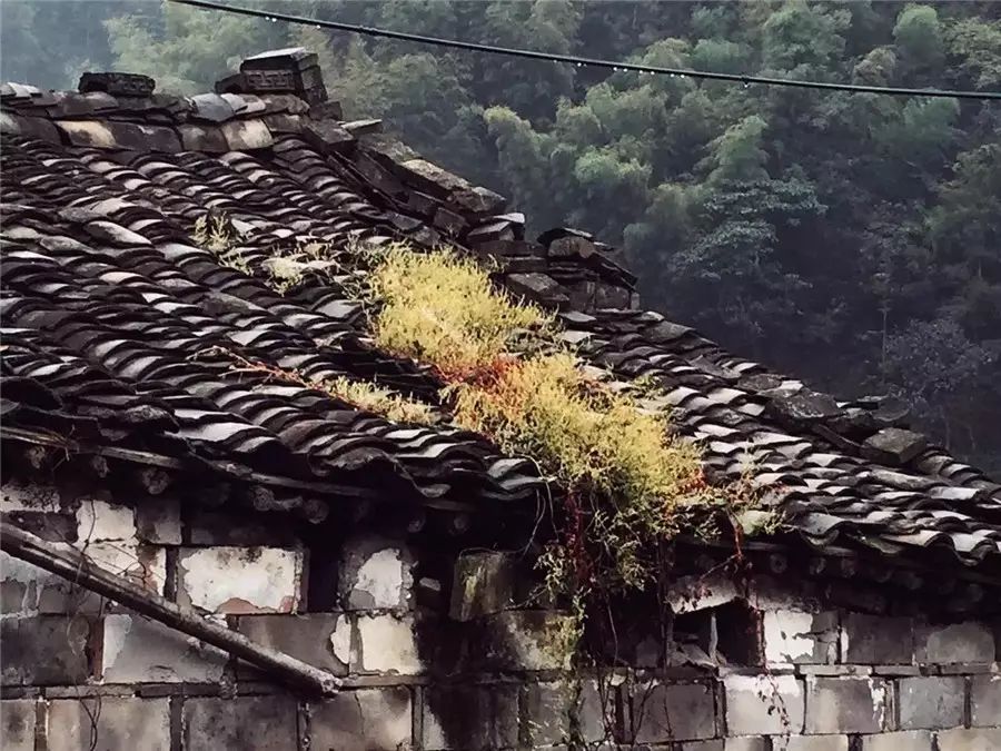 棲霞山居，溪流環(huán)繞在古村落捕魚看霞光