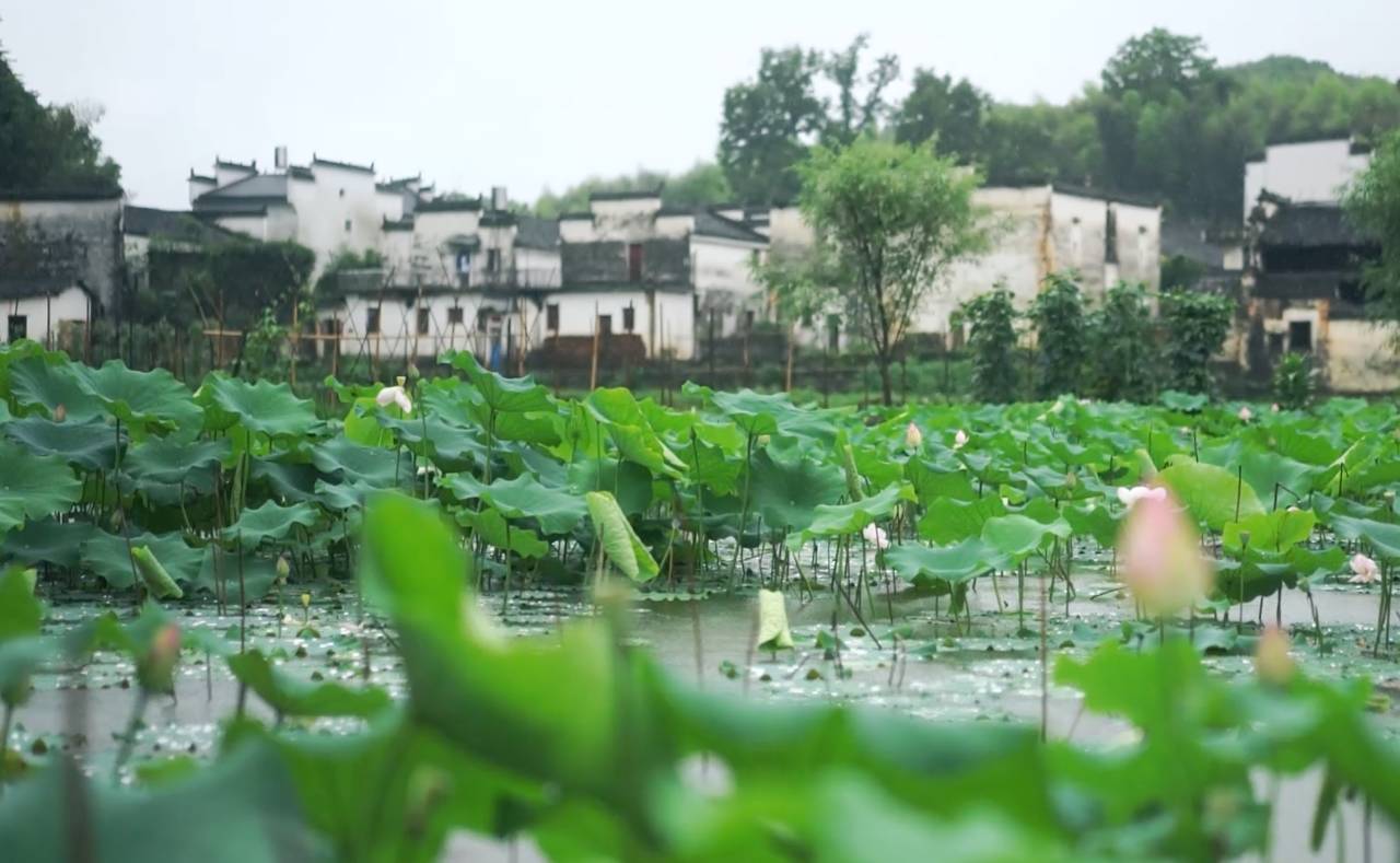 墅家墨娑西沖院，活了的老宅訴說舊日的時光