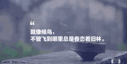 墅家墨娑西沖院，活了的老宅訴說舊日的時光