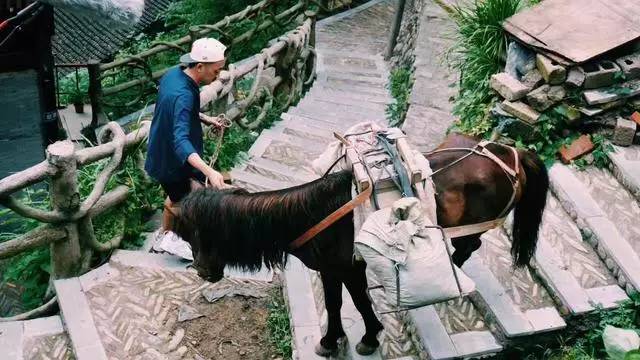 西江千戶苗寨方至客棧民宿，由幸福里團隊打造