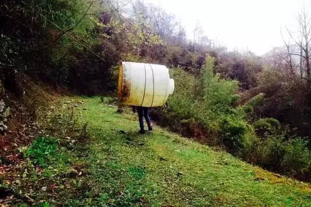 若丁山七號營地,無數人向往的“星空露營地”