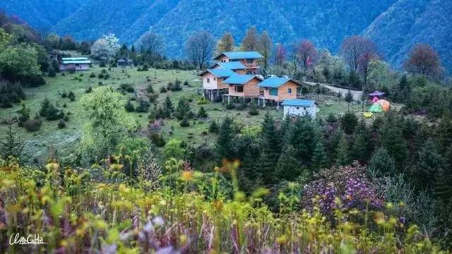 若丁山七號營地，無數人向往的“星空露營地”