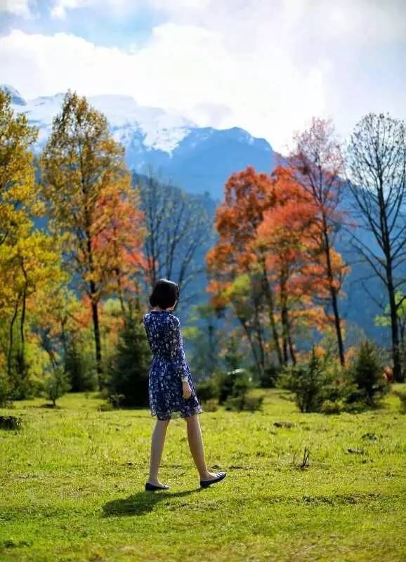 若丁山七號(hào)營(yíng)地，無數(shù)人向往的“星空露營(yíng)地”