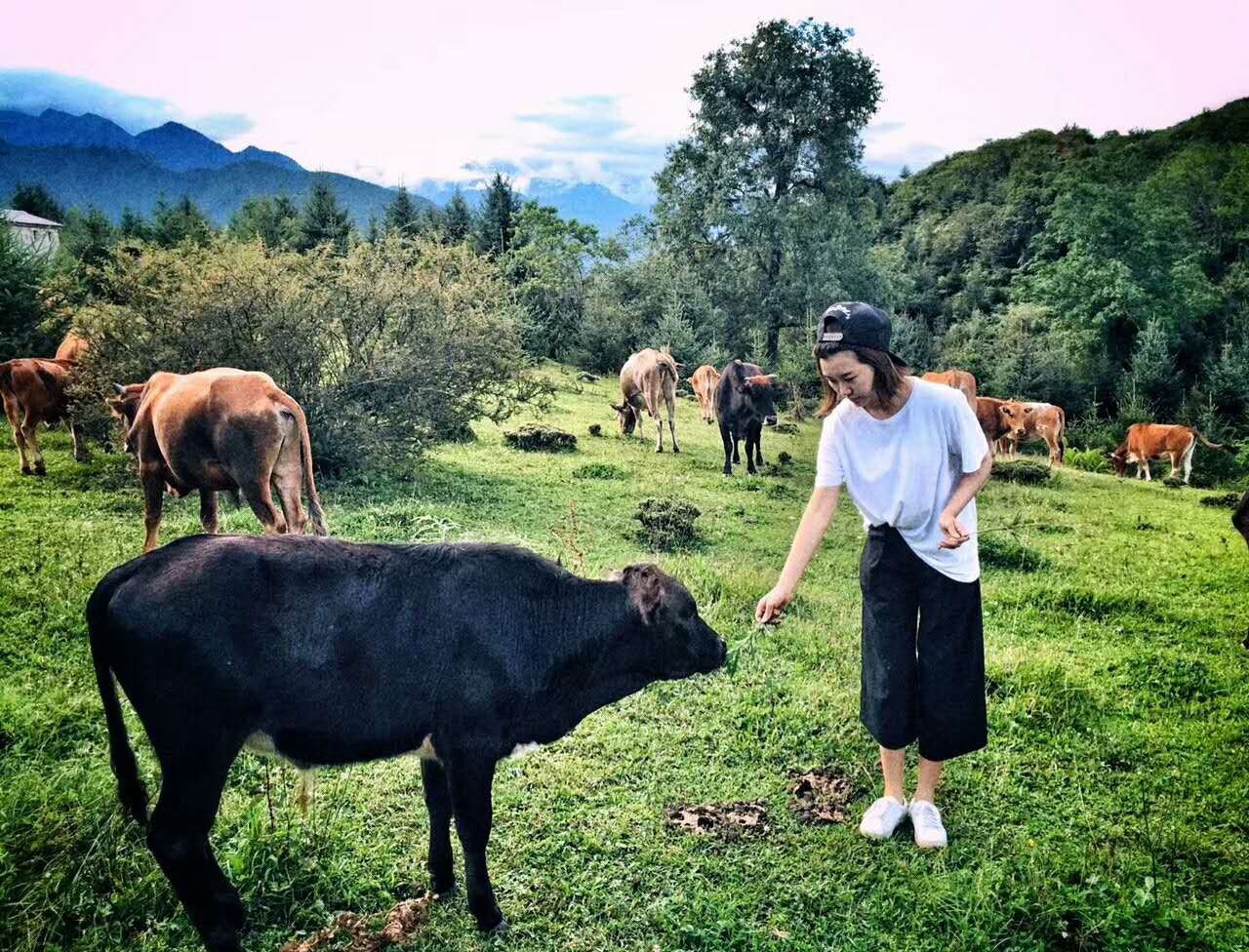 若丁山七號營地，無數人向往的“星空露營地”