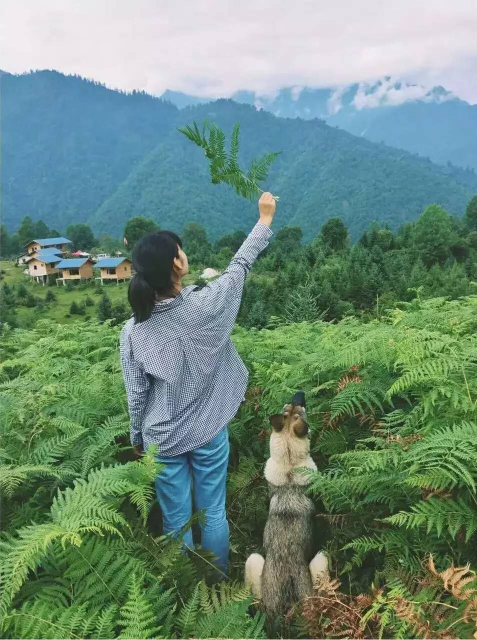 若丁山七號營地，無數人向往的“星空露營地”