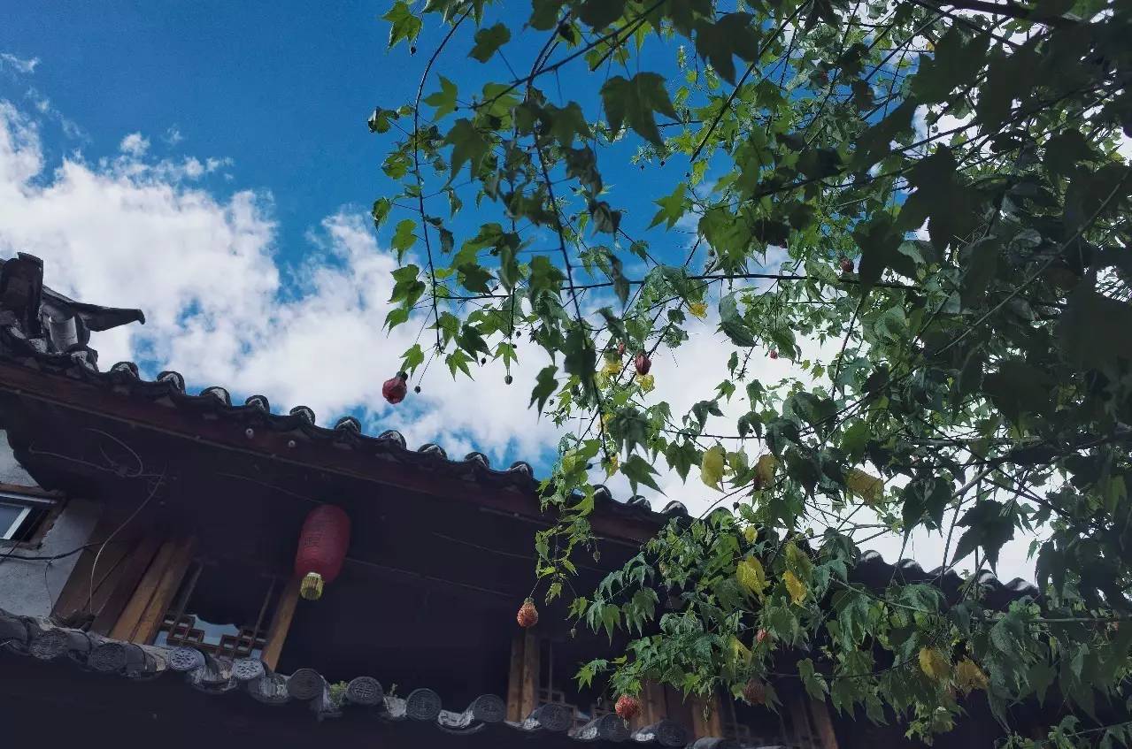 文殊·林舍，在麗江古城過著獨一無二的小日子