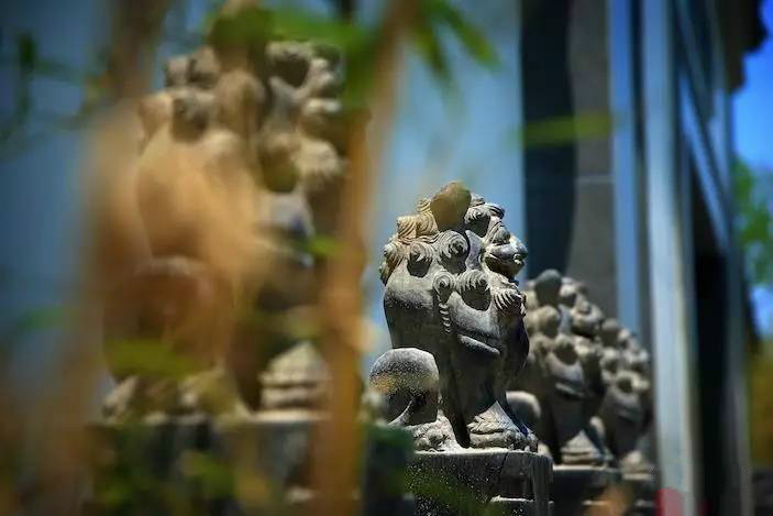 大美江南·蘇洲府，生長在姑蘇古城的園子