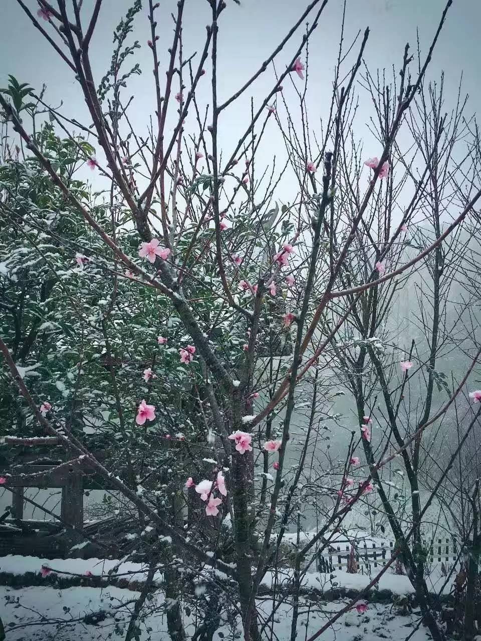如隱·小佐居，半入溪水半入云